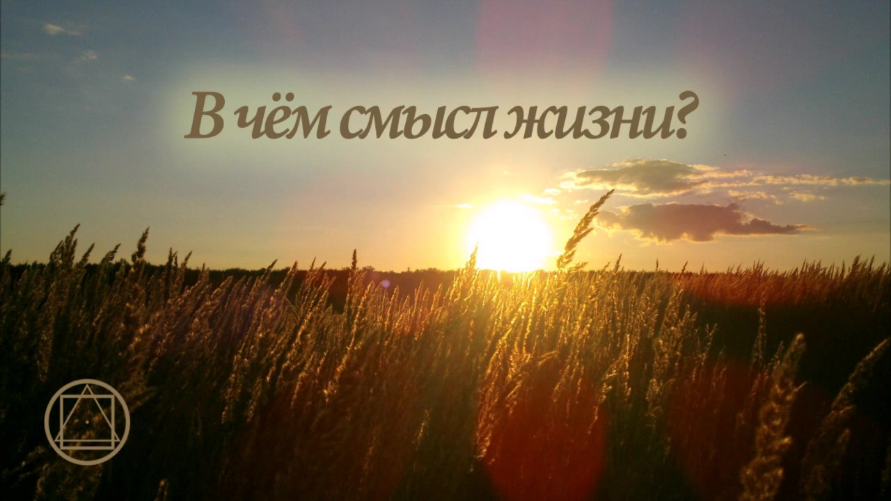 В чём смысл жизни?