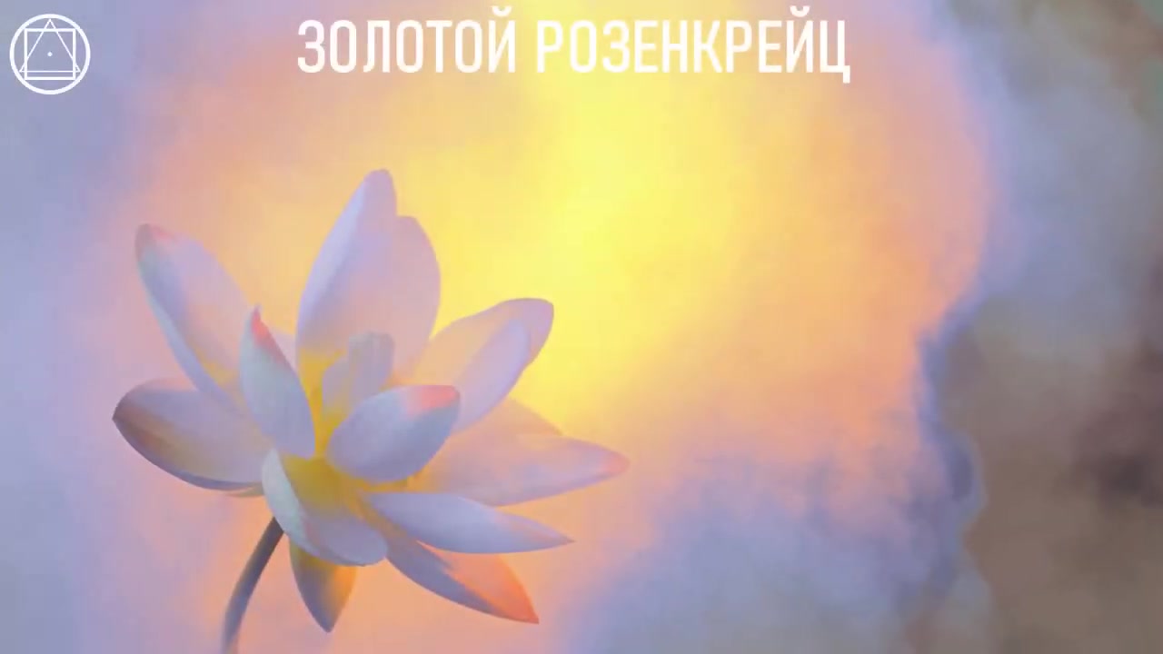 Сердце - генератор Божественной энергии