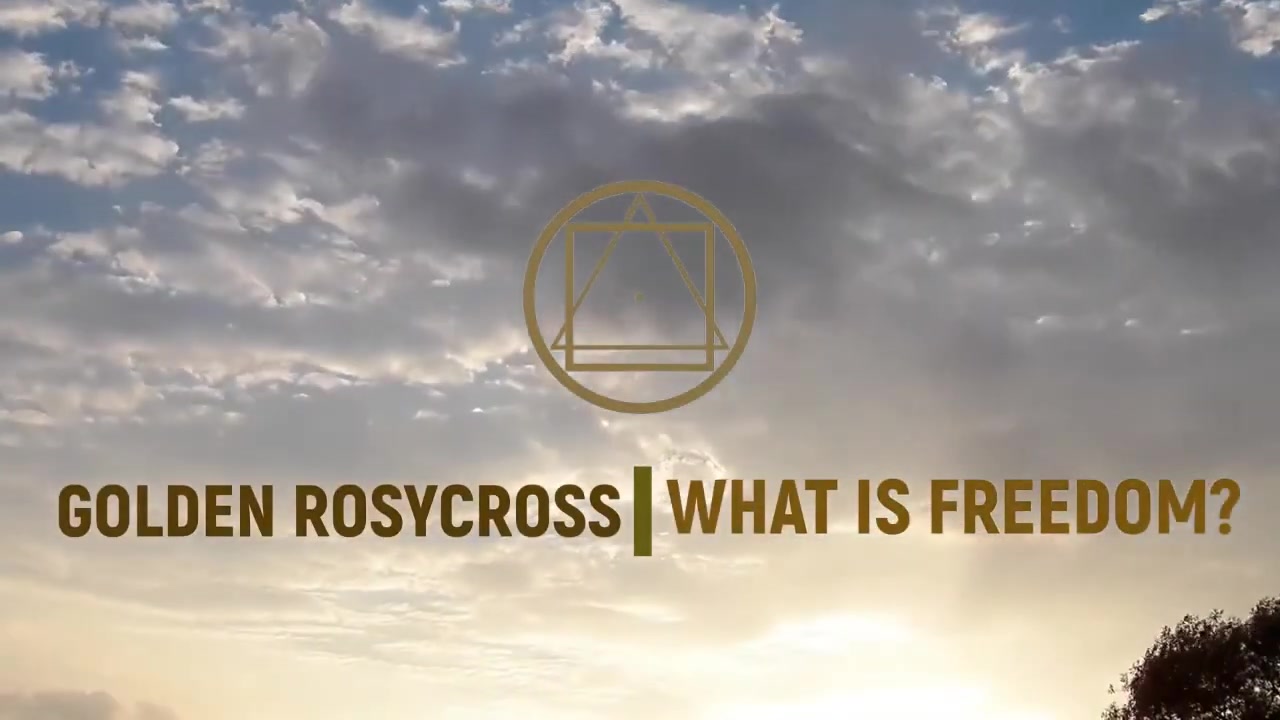 Что такое свобода?