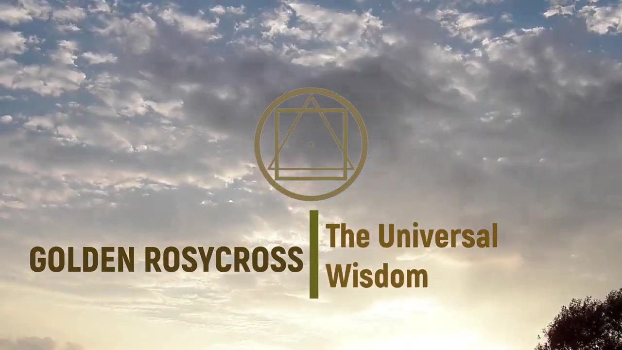 Универсальная Мудрость