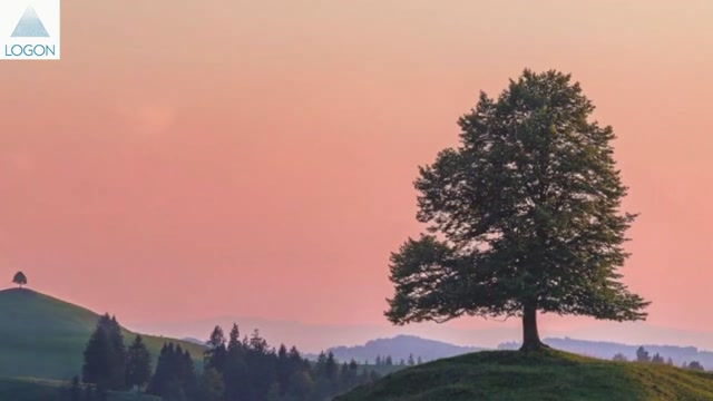 Универсальное Учение и миф о Мировом Древе Иггдрасиль. Часть 1