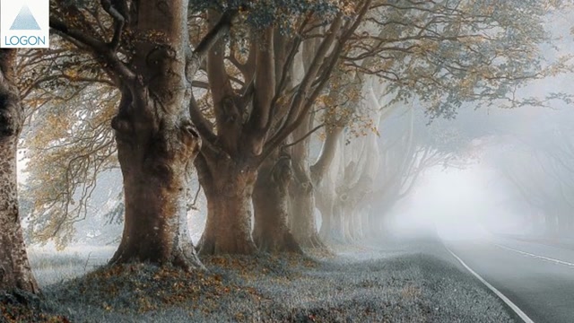 Универсальное Учение и миф о Мировом Древе Иггдрасиль. Часть 2